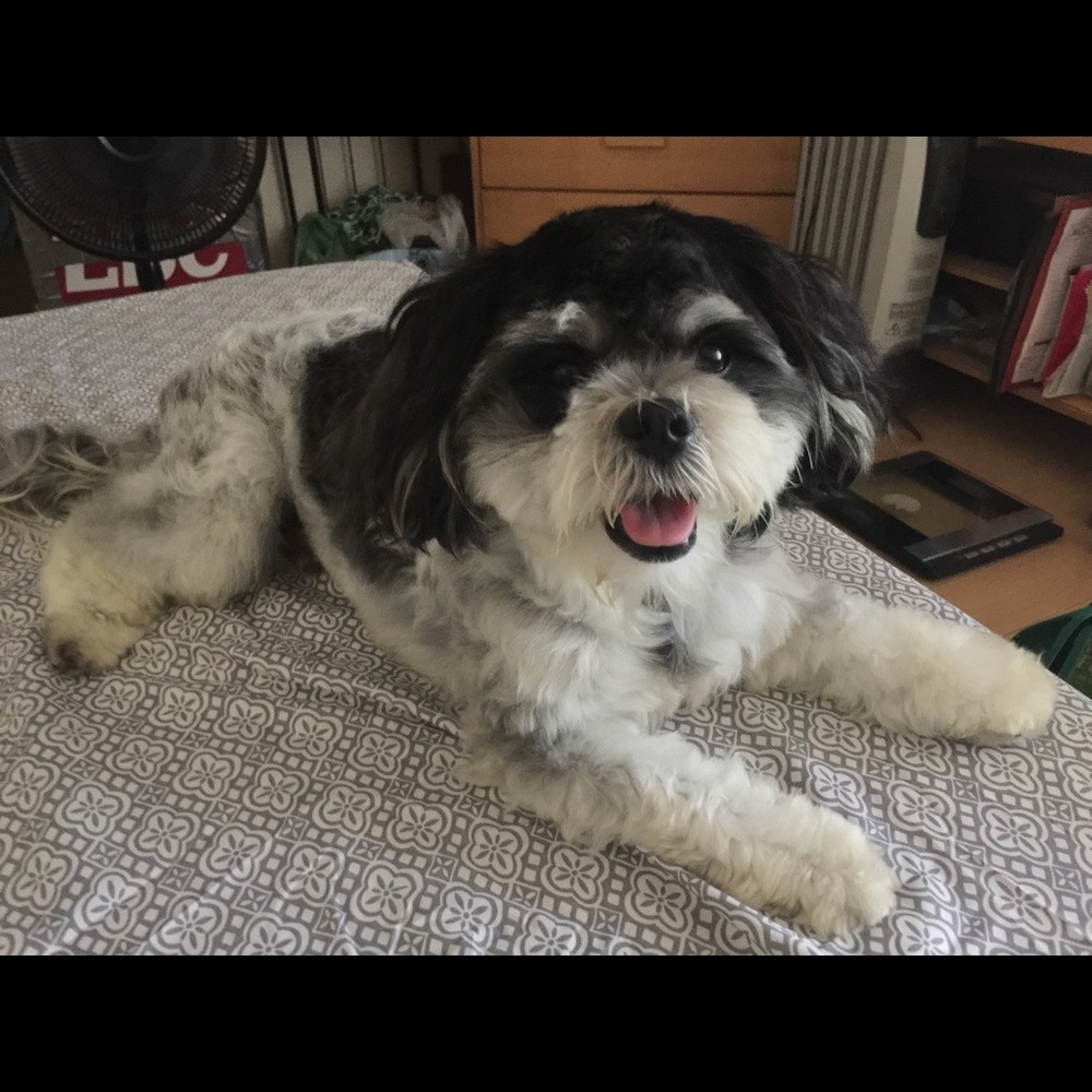 Meet your Posher, Cathleen